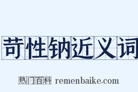 苛性钠近义词是什么意思的图片